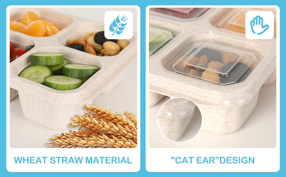 Bento Snack Boxes