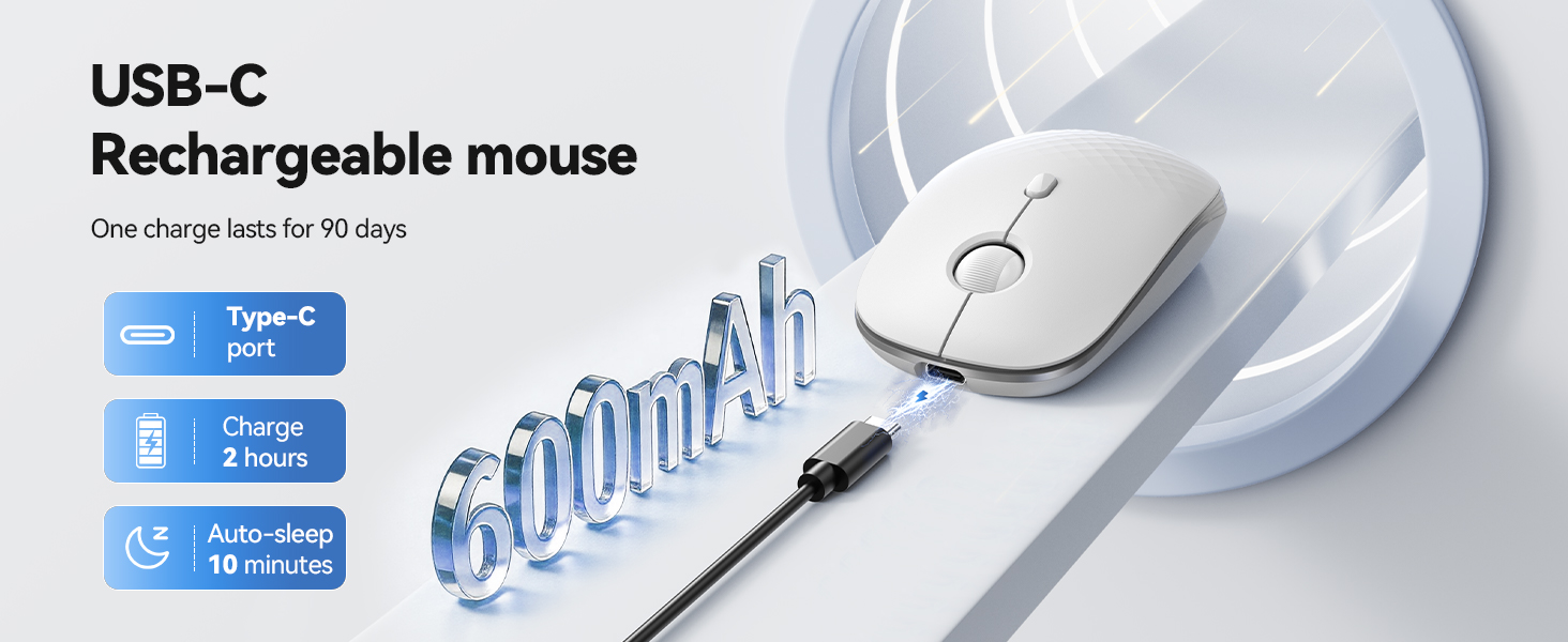 mouse