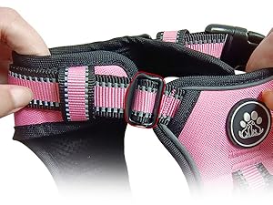 dog harness