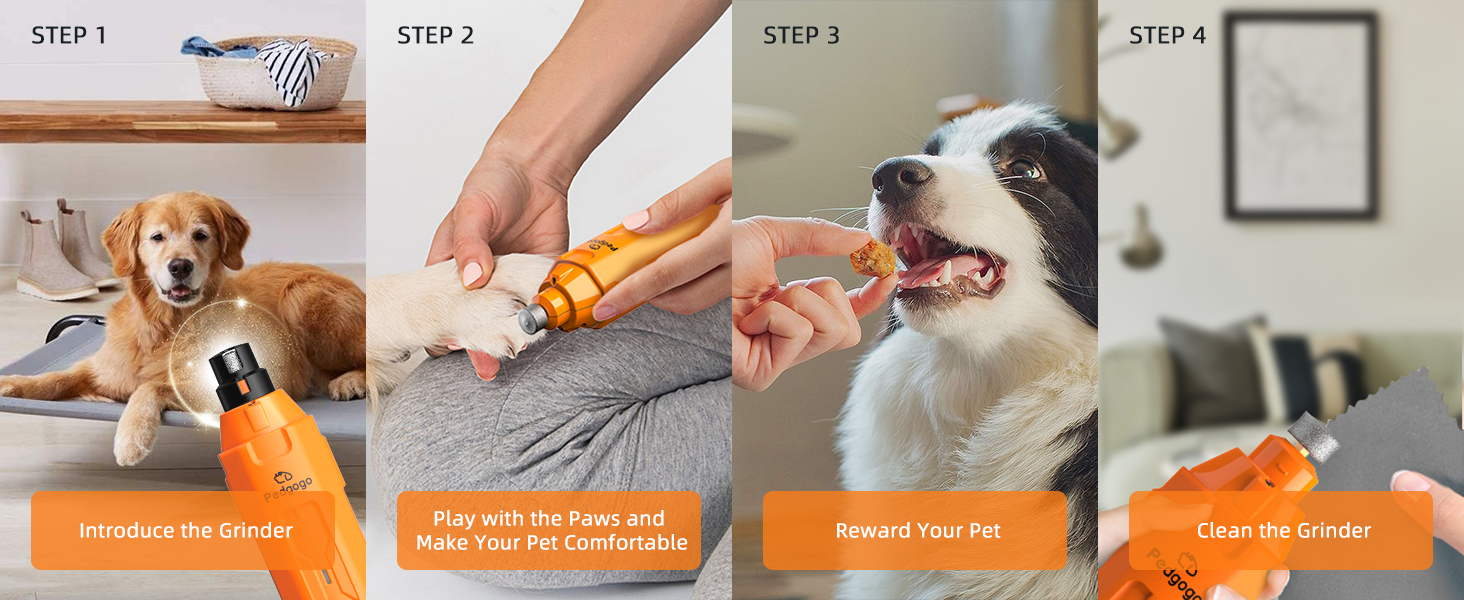 4 Steps to use Pedgogo