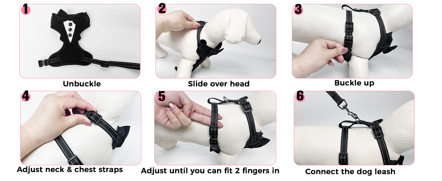 dog harness for small dogs