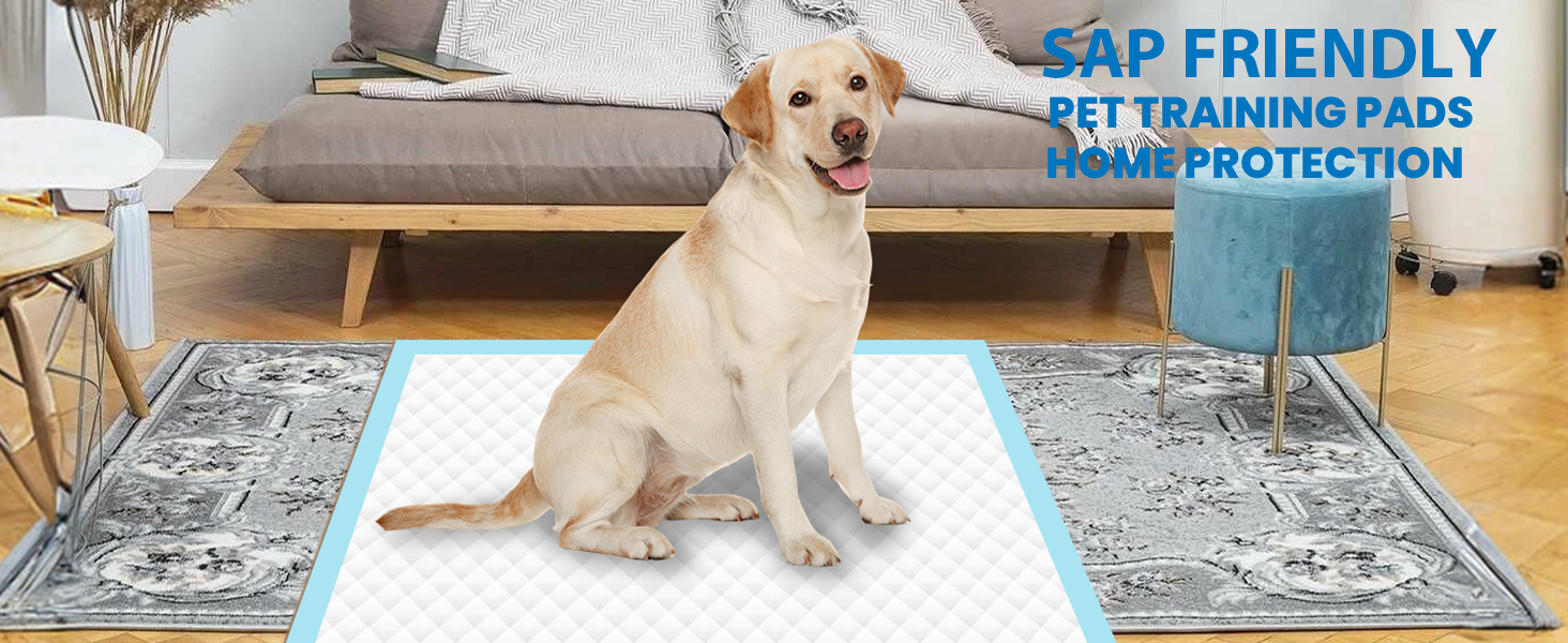 Pee Pads for Dogs