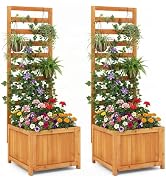 Giantex Set of 2 Wood Raised Garden Bed with Trellis, Outdoor Planter Box for Vines Flowers Veget...