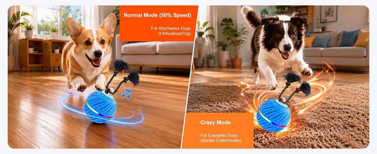 interactive dog ball