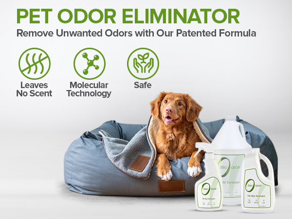 Odor Eliminator