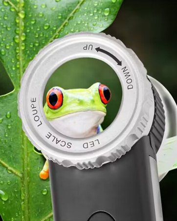 loupe with LED light
