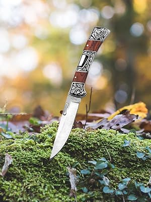 classic entro back lock folding knife