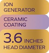 ion generator