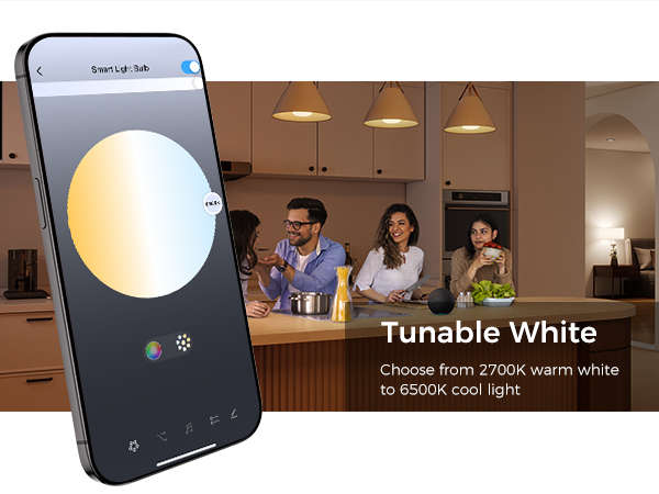 smart light bulbs br30