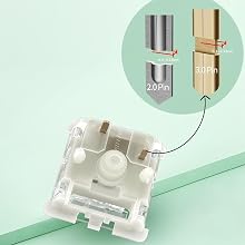 Baby Kangaroo 2.0 Keyboard Switches