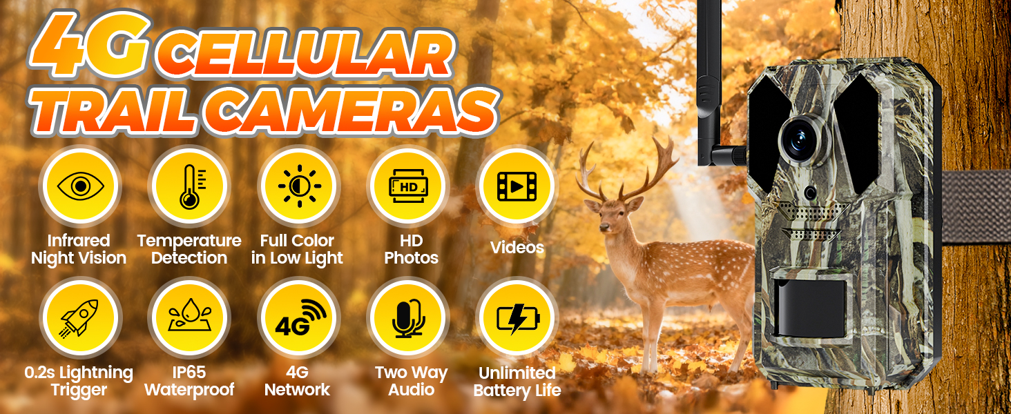 trail cameras-1