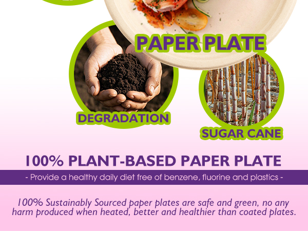 Compostable Paper Plates