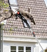 20V 8" Cordless Pole Saws