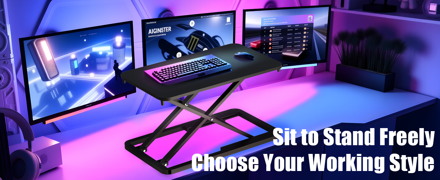 Standing Desk Converter