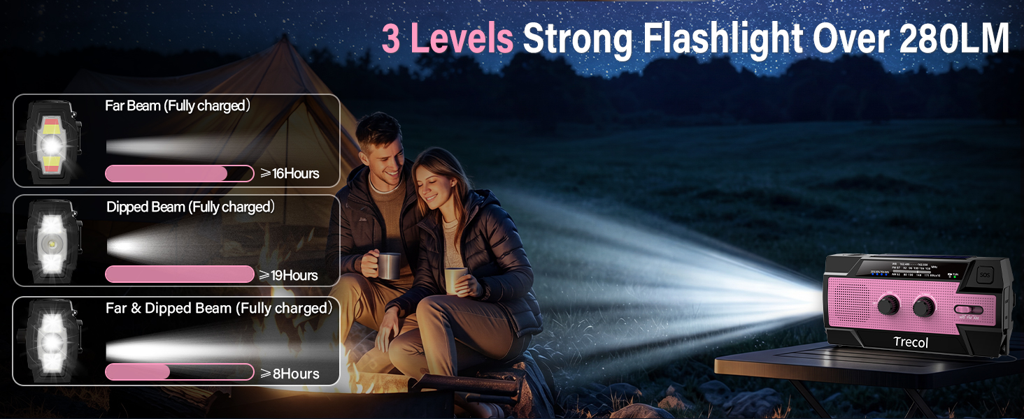 Emergency flashlight radio