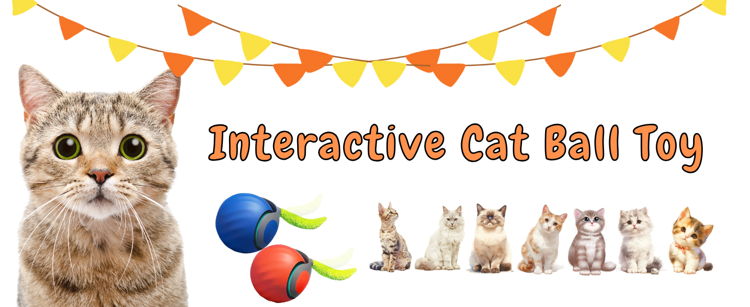 speedy tail 2.0 cat toy