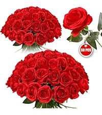 https://m.media-amazon.com/images/I/51FlQYaszqL.__AC_SR200,225___.jpg