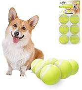 ALL FOR PAWS Dogs Ball Toy, 2" Dog Safety Balls Toy with High Bounce, Exercise and Play Interacti...
