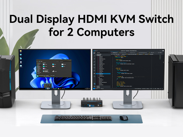kvm switch 2 monitors 2 computers