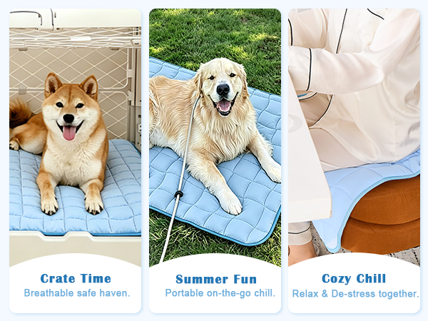 Cooling Mat for Dogs