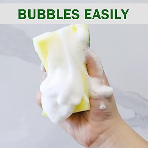 dish sponge