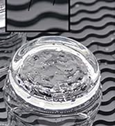 ZLR-BIOTECH-4