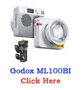 ml100bi