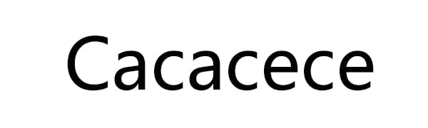 cacacece 42V 2A charger