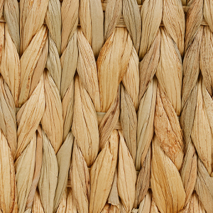 Water Hyacinth