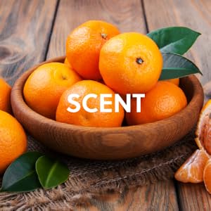 Coco Colada scent