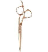 Fromm Defy 5.75" 1-Piece Precision Slide and Point Hair Cutting Shears with Razor Sharp Semi-Conv...