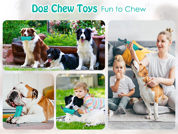 dog chw