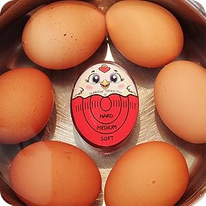 Place the NobleEgg Timer Pro With the Eggs.
