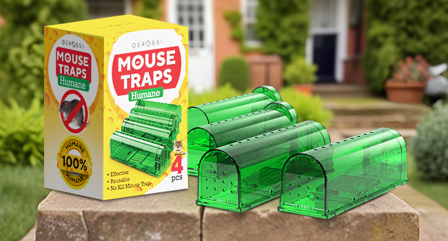 humane mouse traps indoor for home - mice traps for house indoor