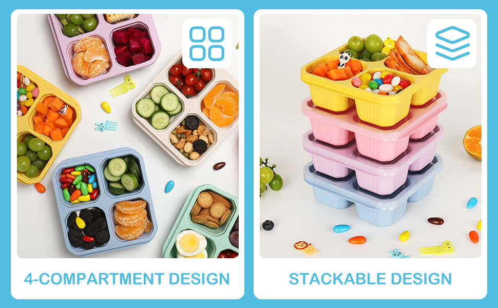 Small Bento Box