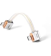 DD ddHiFi TC19LL USB-C Cable OTG Audio Decoding Cable Pure Silver Digital Signal Cable, Flexible ...