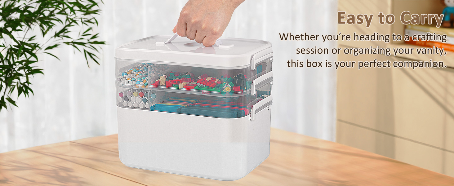 storage bins with lids