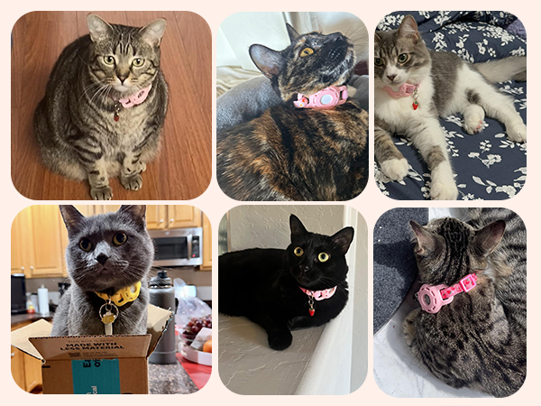 airtag cat collar