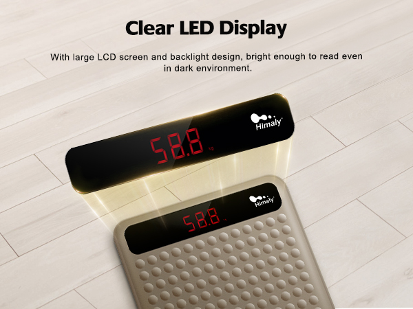 Digital Body Weight Scale