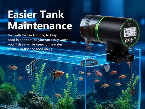 Easier Tank Maintenance