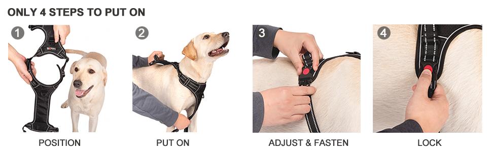 DOG HARNESS