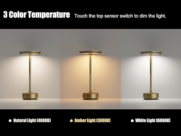 Dimmable Table Lamp