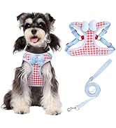 Coppthinktu Dog Harness for Small Sized Dogs, Puppy Cat Harness with Leash Set No Pull Dog Harnes...
