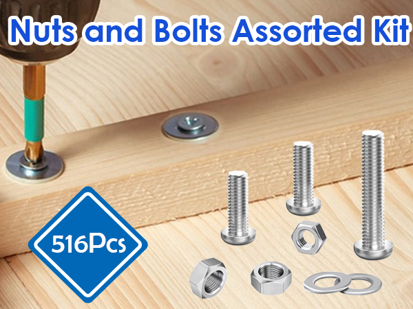 Screws Bolts and Nuts Assortment Kit