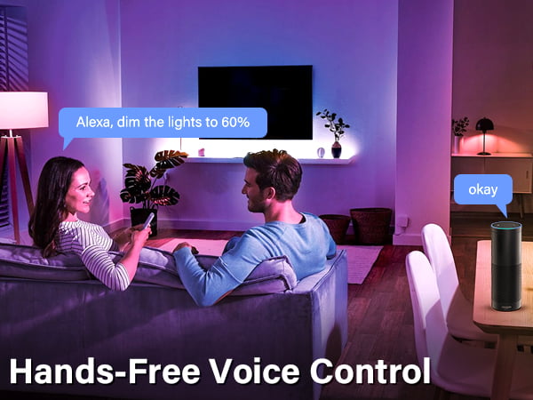 Alexa smart led bulb voice control