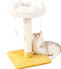 https://m.media-amazon.com/images/S/aplus-media-library-service-media/00d1a9ab-c4d0-4dd5-b2f4-18d0c46cfee3.__CR0,25,1200,1350_PT0_SX200_V1___.jpg