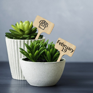 wooden garden labels