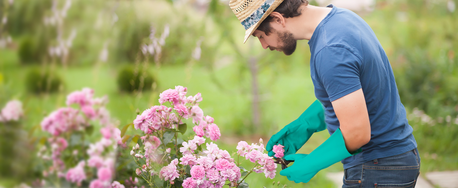 NG-Gardening