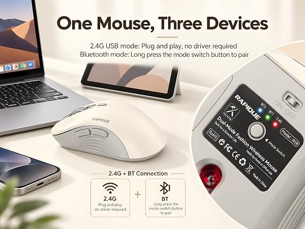 R09 mouse