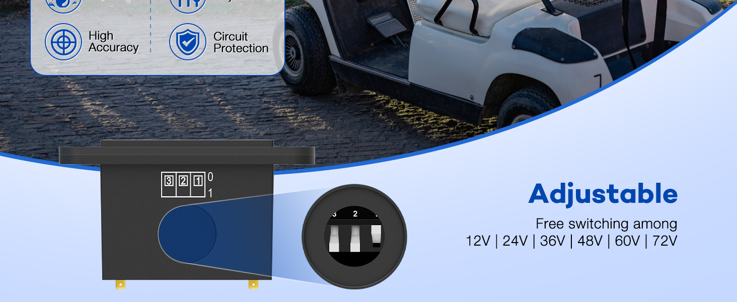 battery monitor 24v
